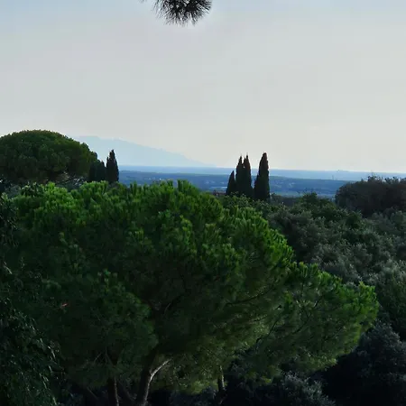 Apartment Bolgheri Home *